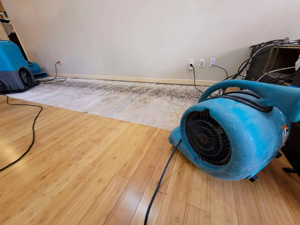 Professional Structural Drying technician working in Irvine, KY